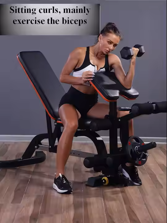 Multi-Functional Adjustable Dumbbell Bench